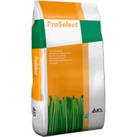 ICL ProSelect Sport 1 semences 10 kg Terrain de sport ray-grass allemand