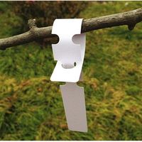 200 pezzi 21X2CM etichette da giardinaggio, etichette da appendere in plastica, etichette per orto, bianche