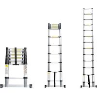 Teleskopskala 2,6 M