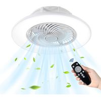 Naizy – Ventilateur de plafond LED 36W dimmable – Télécommande – 8 pales – Température de couleur 2800K-6500K – Flux lumineux 4600 LM