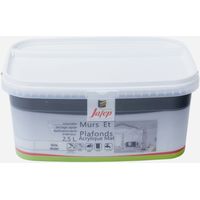 Pittura murale e soffitto acrilico opaco grigio acciaio 2,5L Jafep