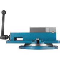 Étau de Table 10,2 cm, étau de Précision 100 mm, étau de pince de table, étau de serrage, Outil Ensemble de Banc de Serrage pour le sciage/le limage/certains travaux de montage et de retrait