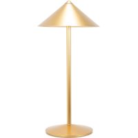 Zafferano Lampada da Tavolo Led Ricaricabile Pina L Desk - 6W, IP65, Dimmer Touch, Testa Magnetica, Design Moderno per Interni ed Esterni - Oro