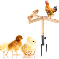 Perchoir pour Poulailler, Support en Bois pour Poulailler avec Prise de Terre en Métal Solide Perchoir pour Poulet Jouets pour Poulailler Accessoires pour Poulailler pour Poule et Poussin