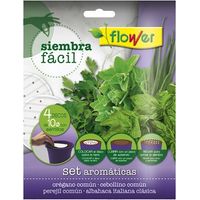 Samen sen aromatische FlЩsse Blume - 4 x 10