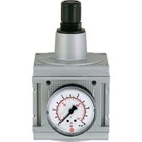 RÚgulateur D multifix / G 1 BG3 / 0,5-10 bar / Manohne