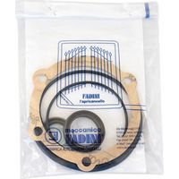 FADINI 115130 Kit Confezione Serie Guarnizioni Per Motore Nyota 115 evo Ricambio