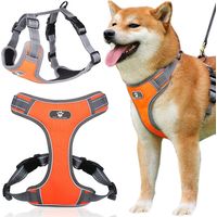 Pettorina da addestramento Astro arancione per cani da passeggio, taglia L