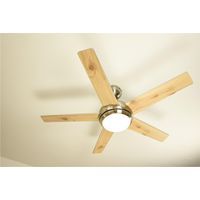 Ventilateur de plafond Fresco Nickel avec lumière