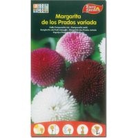 SEMILLAS FITO FLORES MARGARITA DE LOS PRADOS VARIADA=00574