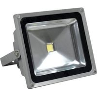 FARO PROIETTORE A LED AD ALTA LUMINOSITA' 30W POTENZA LUCE BIANCA 6000 K ESTERNO