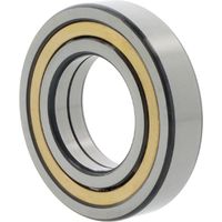 Spann-Gehäuseeinheit TUJ55 TF 55mm SKF