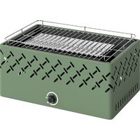 Barbacoa de carbon 45,5x29x21 cm con ventilador integrado temperatura ajustable y bandeja verde claro