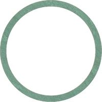 Junta AMAZONE FG001