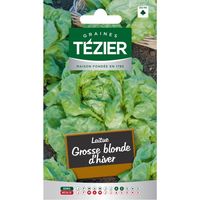 Tezier - Laitue d'Hiver Grosse blonde d'hiver (G,B,)