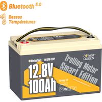 Power Queen – Batterie lithium 12V 100Ah 1280Wh LiFePO4 – Bluetooth 5.0 – Protection basse température – Compatible moteurs hors-bord et systèmes solaires - Groupe31