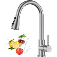 APPASO Kitchen Taps with Pull Out Spray, Kitchen Sink Mixer Tap 360° Swivel, Kitchen Mixer Tap with 3 Spary Modes, Mixer Tap for Kitchen, Kitchen Tap Brushed Stainless Steel-Double Broom