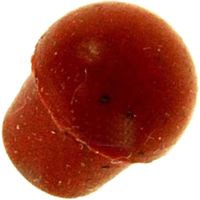 Pulsante valvola - Macchina da caffè, Caffettiera - MAGIMIX - 2983913662894763460