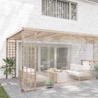 Bâche transparente avec œillets 5x10 m PVC