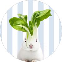 WD LifeStyle Sottopentola in Ceramica D 18 Cm Decoro Coniglio