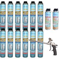 Dstock60 – Mousse polyuréthane expansive 750ml – Lot de 12 – Pistolable pour intérieur et extérieur – Colle et rebouche – Nettoyants inclus