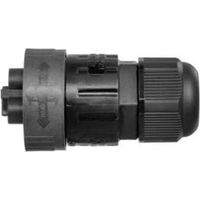 Tekox 2P+T WP3/M connecteur mâle étanche 2P+T