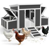 Pollaio per 1-6 Galline con 2 Nidi per la Cova, Tetto Apribile e Vassoio Estraibile, Grigio Scuro