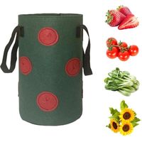 12-Hole Strawberry Growing Bag. Strawberry Growing Bag. Garden Hanging Strawberry Flower Pot. Multifunctional Vegetable And Flower Strawberry Plant Growing Bag. Garden Strawberry Vertical Flow