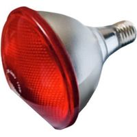 LAMPADA INFRARED PAR RED