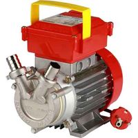 ELEKTROPUMPE FÜR FLÜSSIGKEITENÜBERTRAGUNG Ø 20 mm - 0,5 PS - 1700 l/h