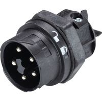 Wieland Electric 46.052.5053.1 Rundstecker Stecker, Einbau Gesamtpolzahl: 4 + PE Serie (Rundsteckver