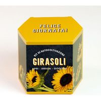 KIT AUTOCOLTIVAZIONE GIRASOLI