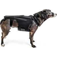 Faja lumbar (talla L) para perros pequeños, artritis, recuperación de cirugía de columna, hernias discales, hernias discales, rehabilitación (dachshunds y corgis)