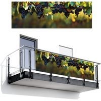 SCHERMO PER LA PRIVACY DEL BALCONE Uva - Vino - Natura - Verde 300x100 cm