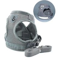 Harnais pour chat, harnais anti-fugue pour chat (gris)