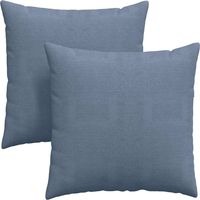Coussins de canapé 2 pcs Bleu 80 x 80 cm