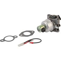 Vergaser mit Dichtungen KOHLER 2085335S
