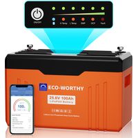 ECO-WORTHY 24V 100Ah Batterie Lithium LiFePO4 Bluetooth avec écran,batterie lifepo4 avec 100A BMS protection basse température pour camping-car