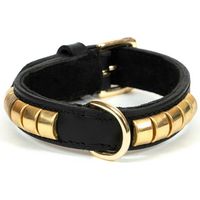 Collare per Cani Gloria Duna Nero Dorato (35 x 2 cm)