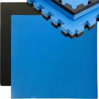 0.8qm Tatami Judo 4cm - 1 Dalle 90x90cm - Tapis Sol Sport Fitness Mat Home Gym