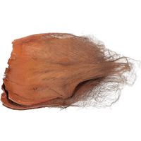 morceaux d écorce de noix de coco naturelle pour la