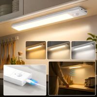 ROSNEK Veilleuse LED 30 cm avec détecteur de mouvement rechargeable lampe de placard Argent