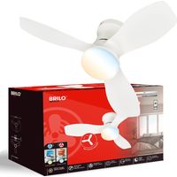 Briloner Ventilateur de plafond télécommande Ø60x19cm 15W 1700lm 3000K-6500K blanc chaud à blanc lumière du jour moteur DC blanc - Ventilateur lampe chambre salon