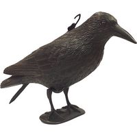 Espantapájaros, DECAMP' Décamp'
