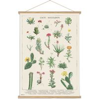 Holzbanner botanische Kakteen kokonote