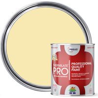 Thermilate PRO FLEX Interior & Exterior Paint - Multi-Surface Paint & Primer - All-in-One - Light Yellow - 5L - Matt