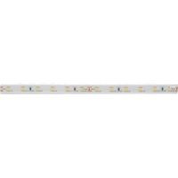 Brumberg Leuchten LED-Flexband 5000mm 24V 4100K IP67 15271004