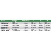 Insize 6928640304156 Set di micrometri di precisione 0-100 mm