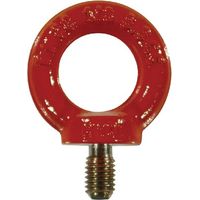 Golfare ad alta resistenza 8.8 1000 kg M10 CARTEC RSH010