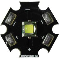 Roschwege LED High Power blanc chaud 10 W 220 lm 3.1 V 1500 mA Star-W2700-10-00-00 W09279